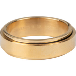 Charmins R1069 Turning Anxiety Fidget Ring, Shiny Gold-Colored