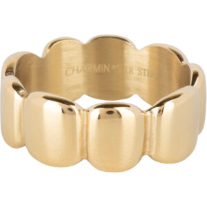 Charmins Gold-Colored Wide Steel Ring, Smooth Oval R1393